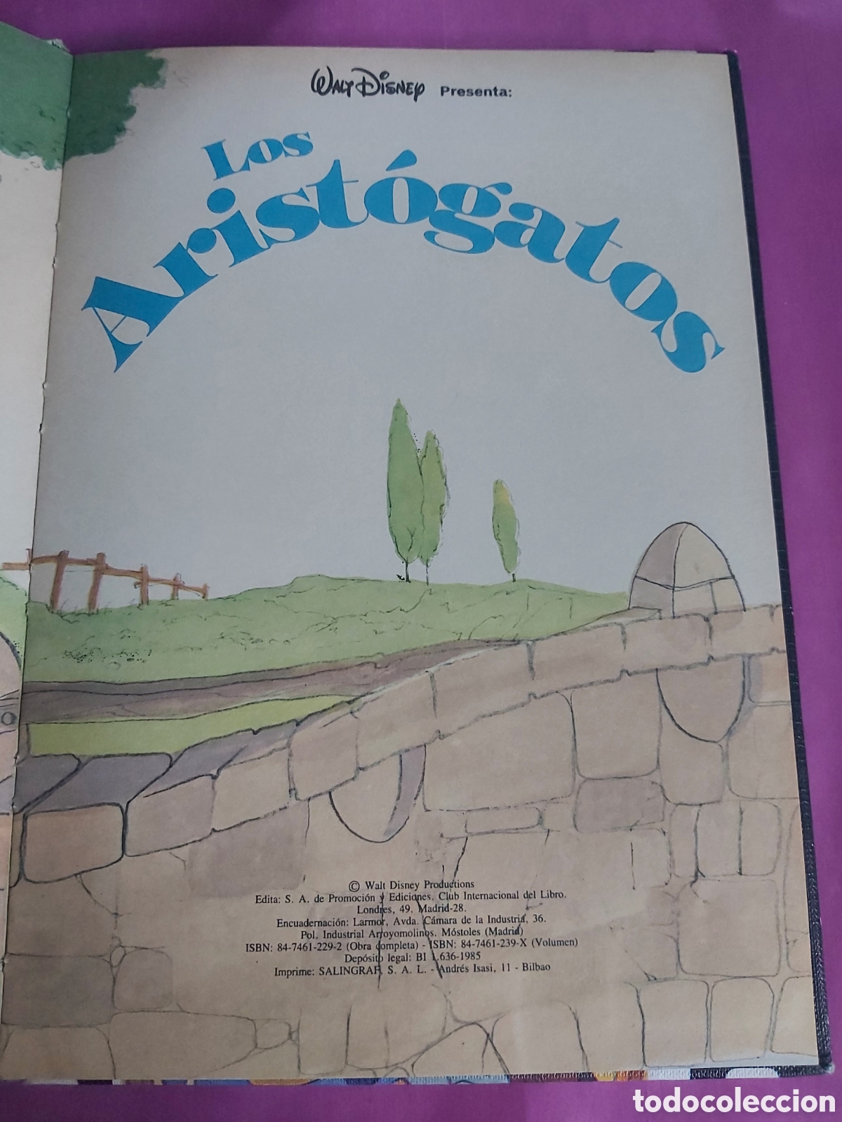 Libros de segunda mano: 15 LIBROS + ESTUCHE WALT DISNEY PRESENTA...1985 - Foto 6