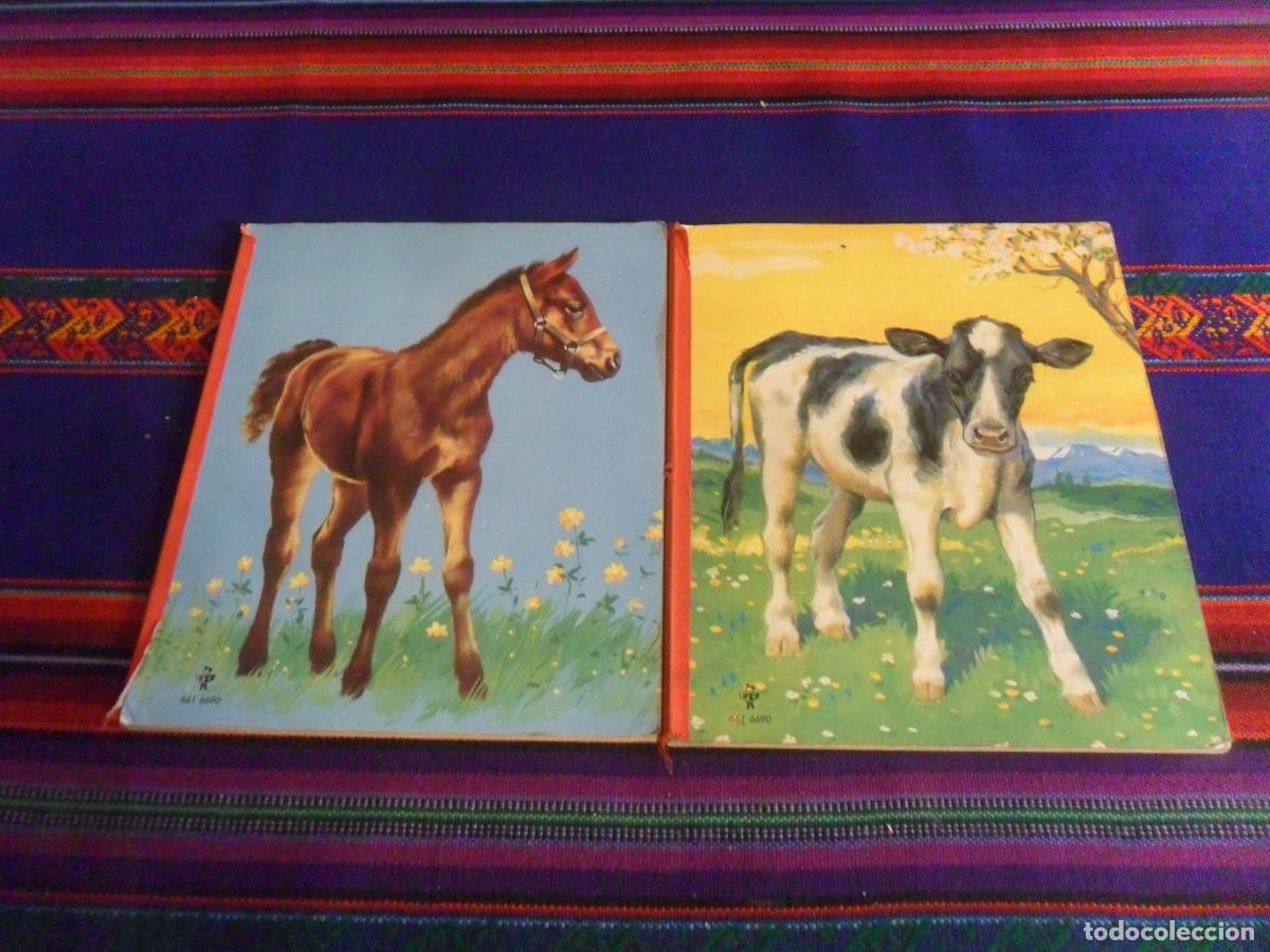 Libros de segunda mano: LOTE 2 CUENTOS DE ANINALES DE GRANJA PV 661 6690 PESTALOZZI-VERLAG. 1978. DE CARTON DURO. RAROS.