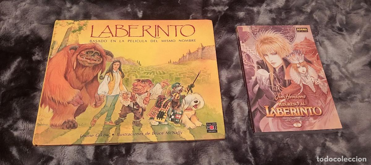 Libros de segunda mano: LIBROS LABERINTO Y REGRESO AL LABERINTO