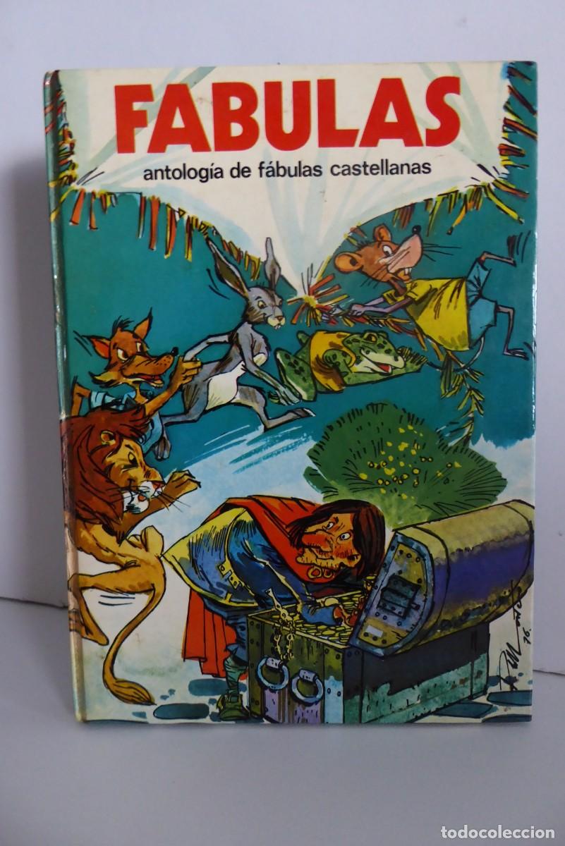 Libri di seconda mano: ANTOLOG&Iacute;A DE F&Aacute;BULAS CASTELLANAS - SUSAETA 1976