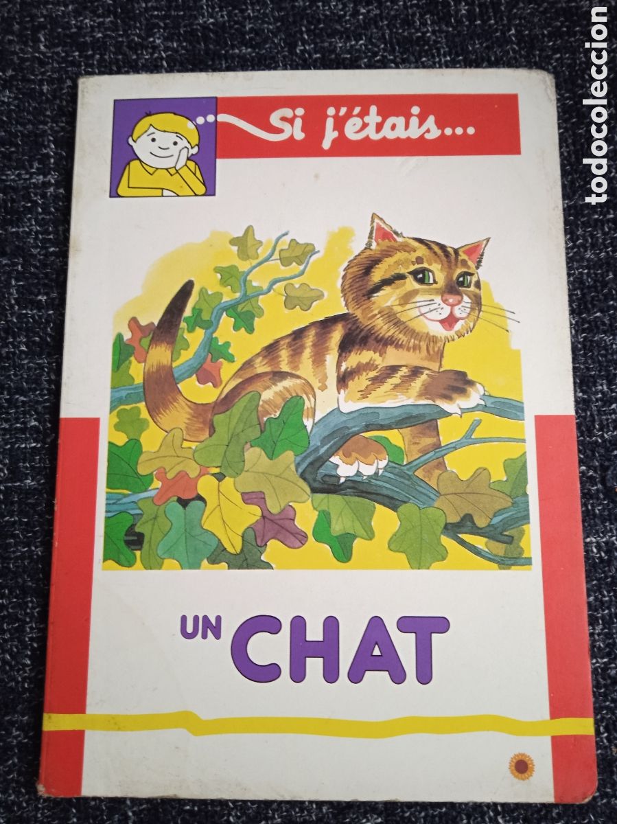 Libros de segunda mano: CUENTO EN FRANCES - SI J&Eacute;TAIS.... UN CHAT -ED. SUSAETA 1989