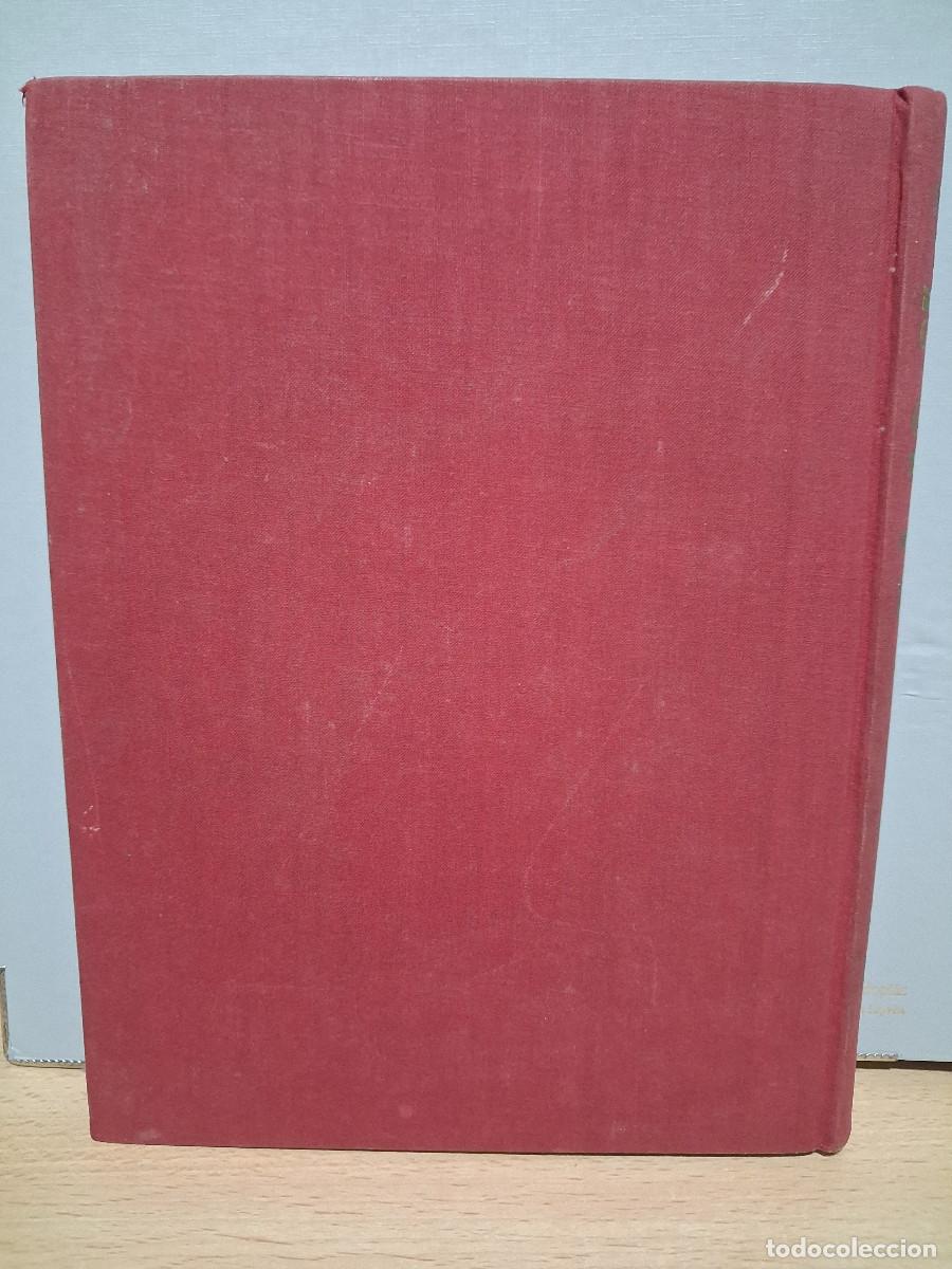 Libros de segunda mano: Cuentos de Grimm - ilustra Arthur Rackham - Juventud, 1955 - Foto 10