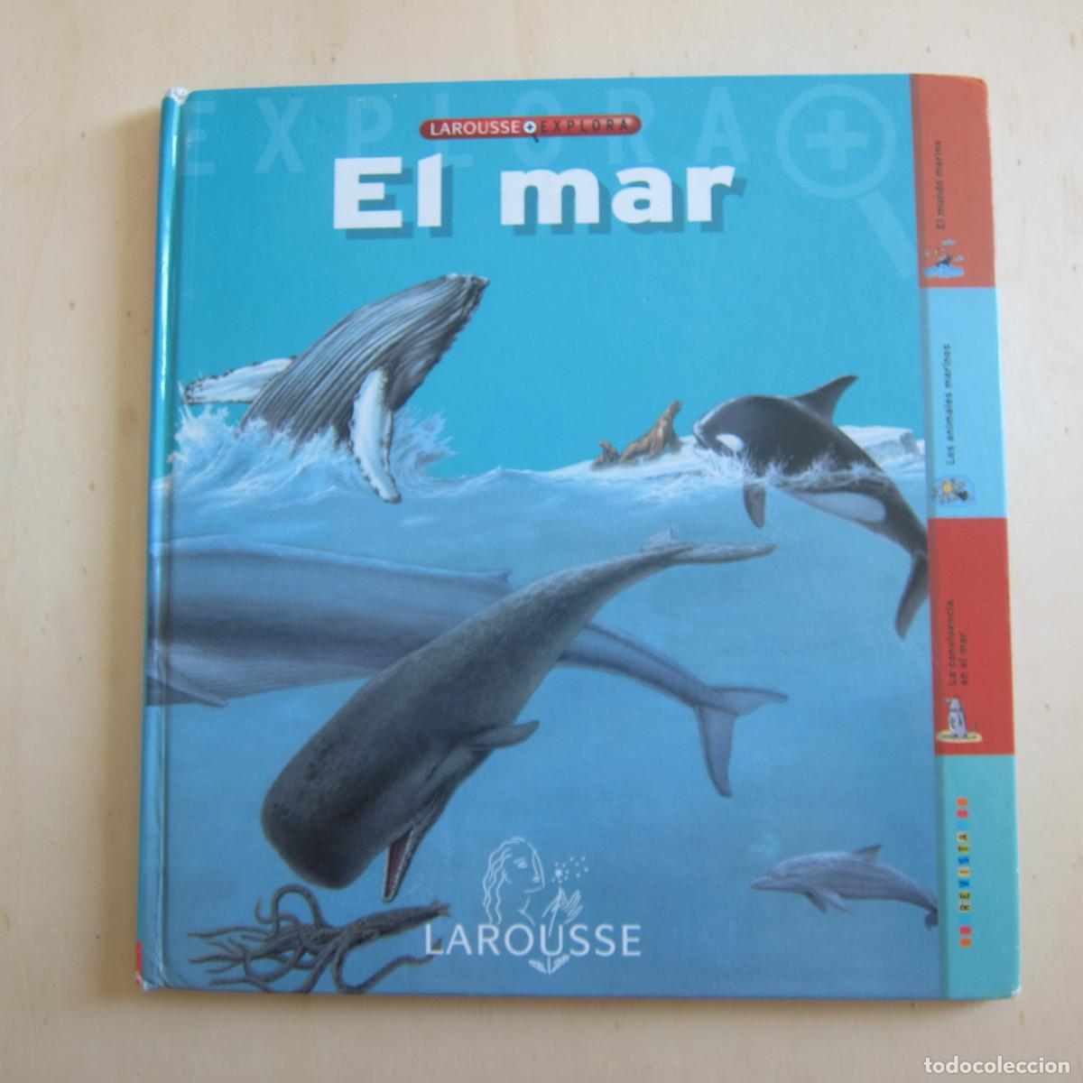 Libros de segunda mano: EL MAR (LAROUSSE) INFANTIL - Foto 1