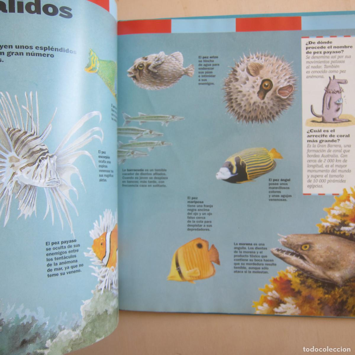 Libros de segunda mano: EL MAR (LAROUSSE) INFANTIL - Foto 5