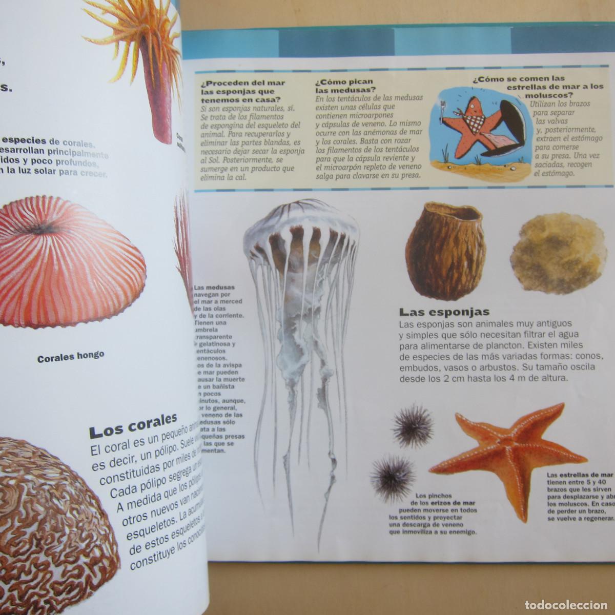 Libros de segunda mano: EL MAR (LAROUSSE) INFANTIL - Foto 6