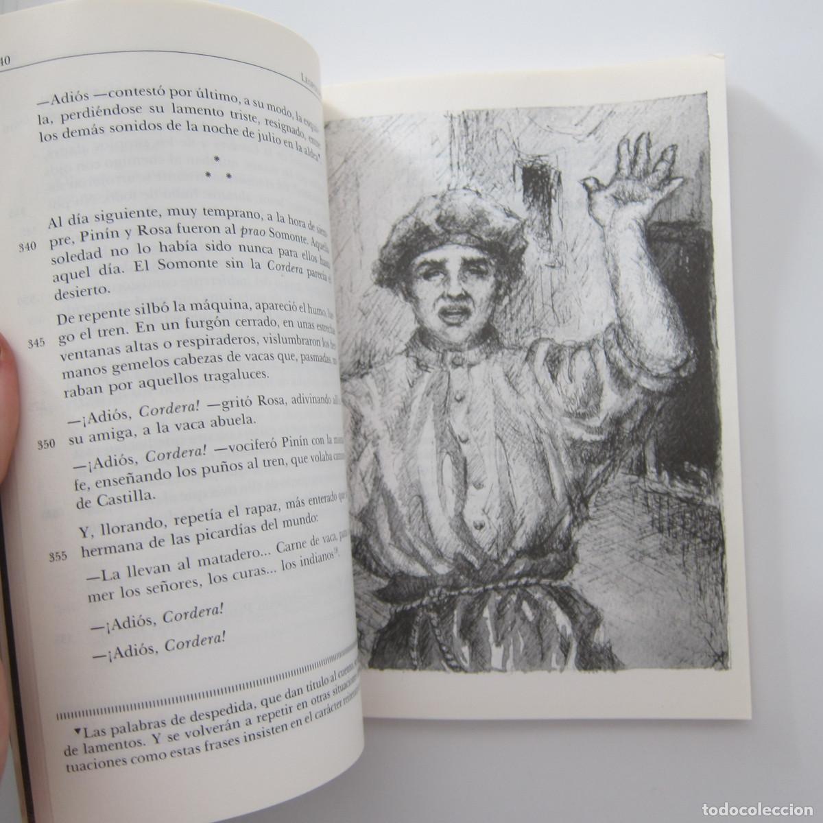 Libros de segunda mano: CLAR&Iacute;N - CUENTOS (ANAYA) INFANTIL - Foto 10