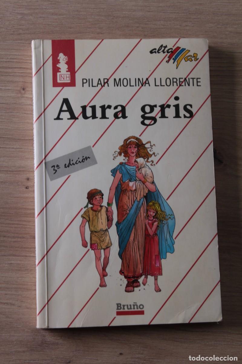 Libros de segunda mano: Aura gris Pilar Molina Lorente - Foto 1
