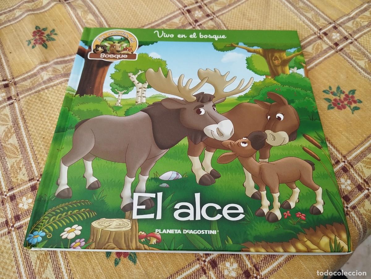 Gebrauchte B&uuml;cher: EL ALCE / LOS ANIMALES DEL BOSQUE N&deg; 26 / VIVO EN EL BOSQUE / ED. PLANETA 2019