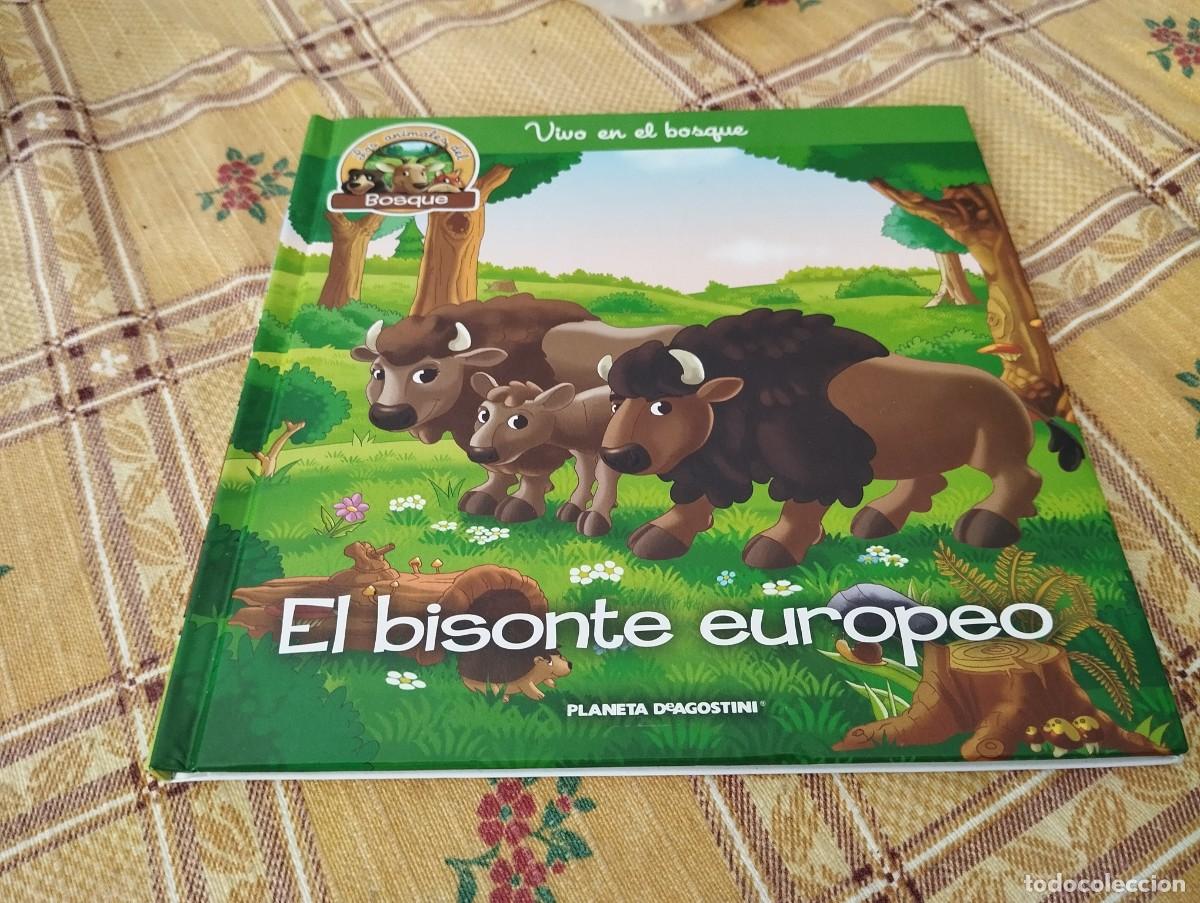 Livres d'occasion: EL BISONTE EUROPEO / LOS ANIMALES DEL BOSQUE N&deg; 29 / VIVO EN EL BOSQUE / ED. PLANETA 2019