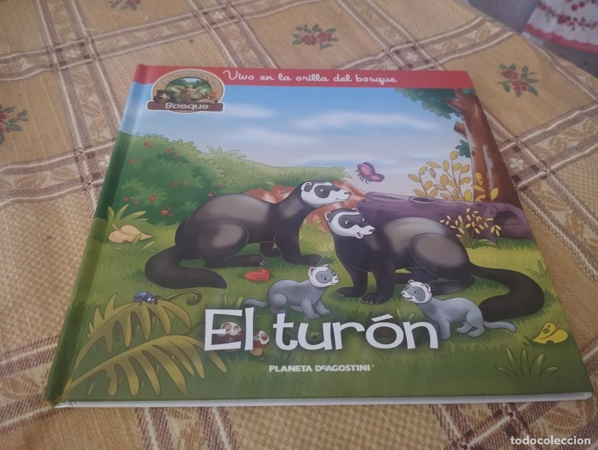Libros de segunda mano: EL TUR&Oacute;N / LOS ANIMALES DEL BOSQUE N&deg; 25 / VIVO EN LA ORILLA DEL BOSQUE / ED. PLANETA 2019