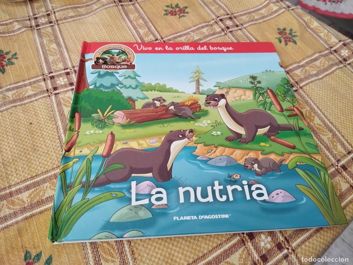 Libros de segunda mano: LA NUTRIA / LOS ANIMALES DEL BOSQUE N&deg; 22 / VIVO EN LA ORILLA DEL BOSQUE /ED. PLANETA 2019