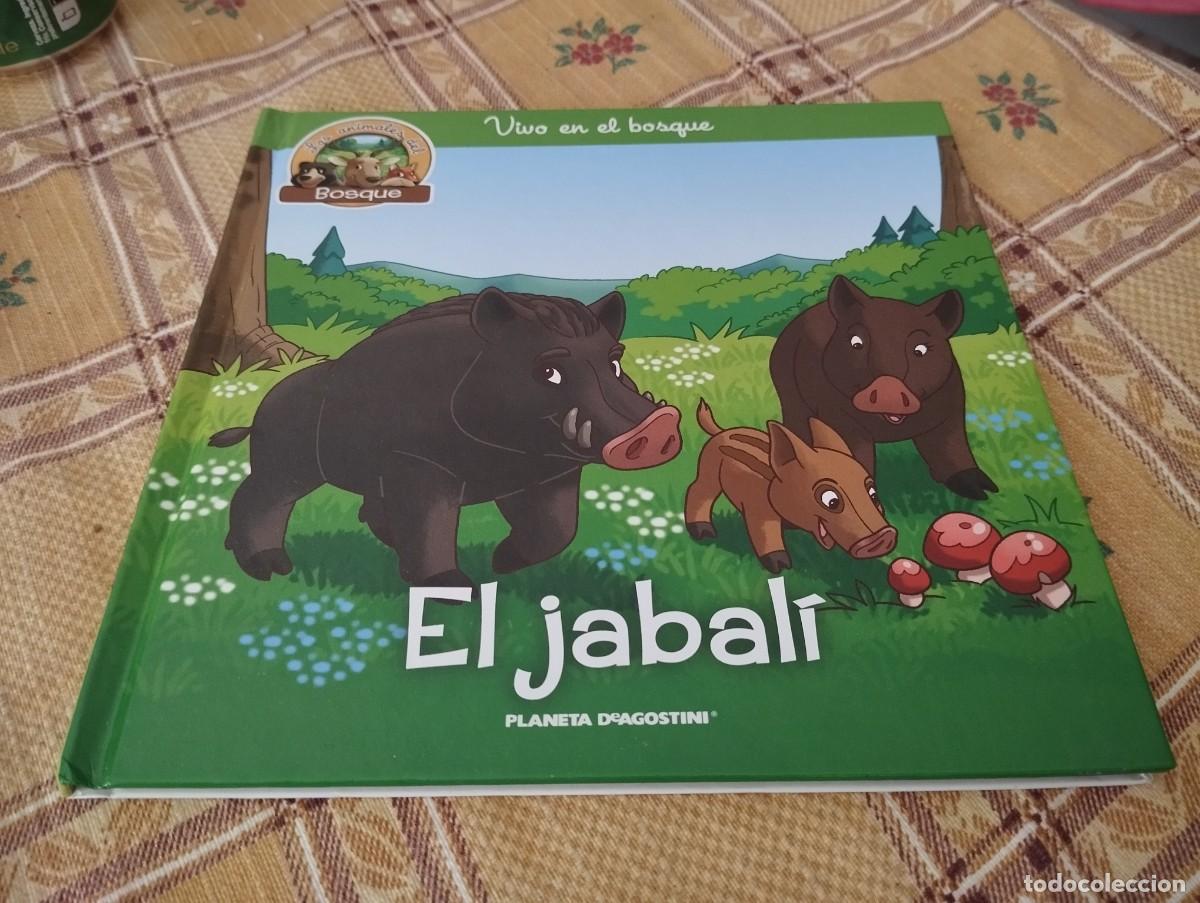 Libros de segunda mano: EL JABALI / LOS ANIMALES DEL BOSQUE N&deg; 21 / VIVO EN EL BOSQUE / ED. PLANETA 2019
