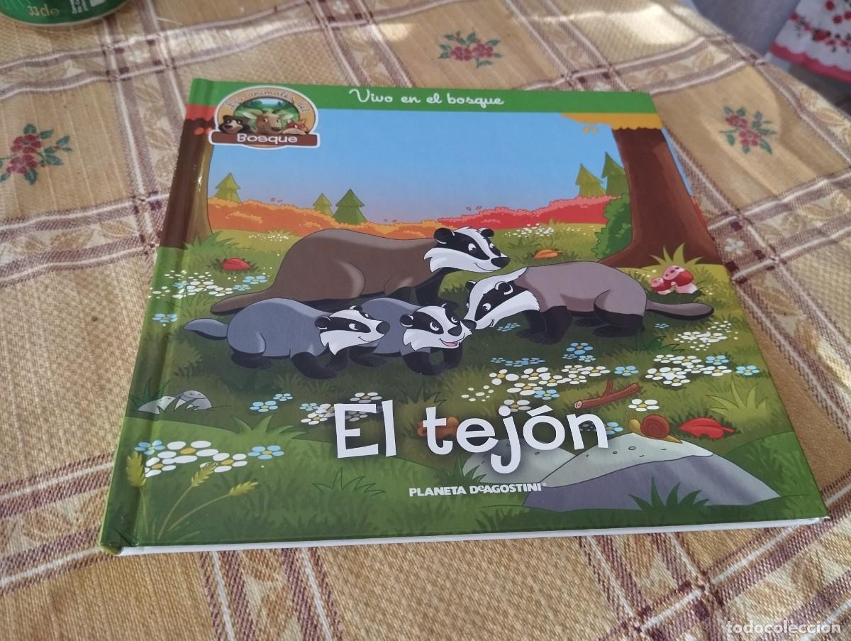 Libros de segunda mano: EL TEJ&Oacute;N / LOS ANIMALES DEL BOSQUE N&deg; 19 / VIVO EN EL BOSQUE / ED. PLANETA 2019