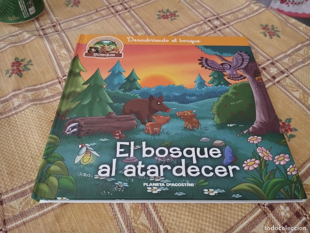 Libros de segunda mano: EL BOSQUE AL ATARDECER / LOS ANIMALES DEL BOSQUE N&deg; 18 / DESCUBRIENDO EL BOSQUE / ED. PLANETA 2019