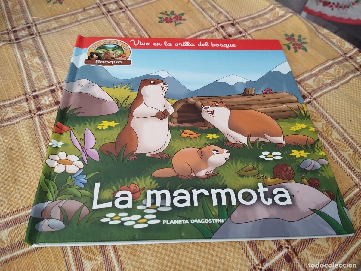 Libros de segunda mano: LA MARMOTA / LOS ANIMALES DEL BOSQUE N&deg; 16 / VIVO EN LA ORILLA DEL BOSQUE / ED. PLANETA 2019