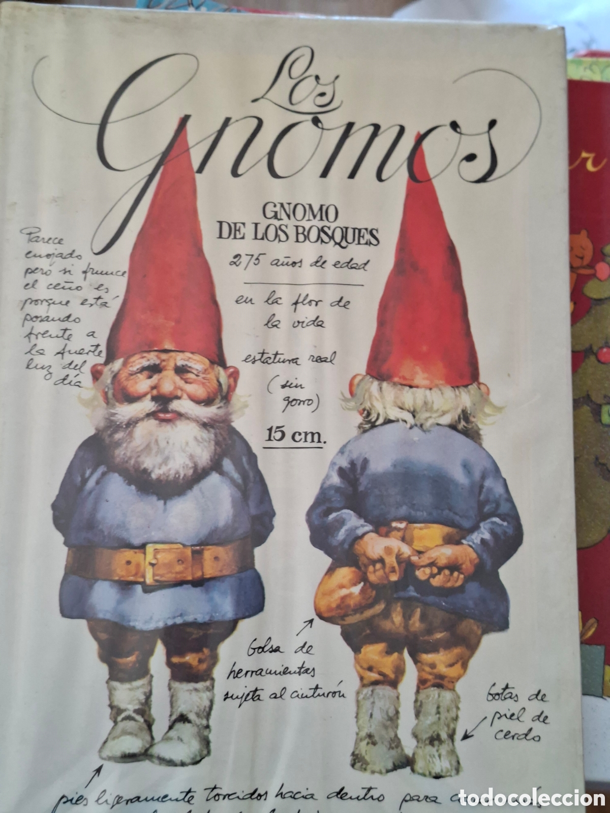 Libros de segunda mano: Libro vintage Los Gnomos - Rien Poortvliet y Wil Huygen