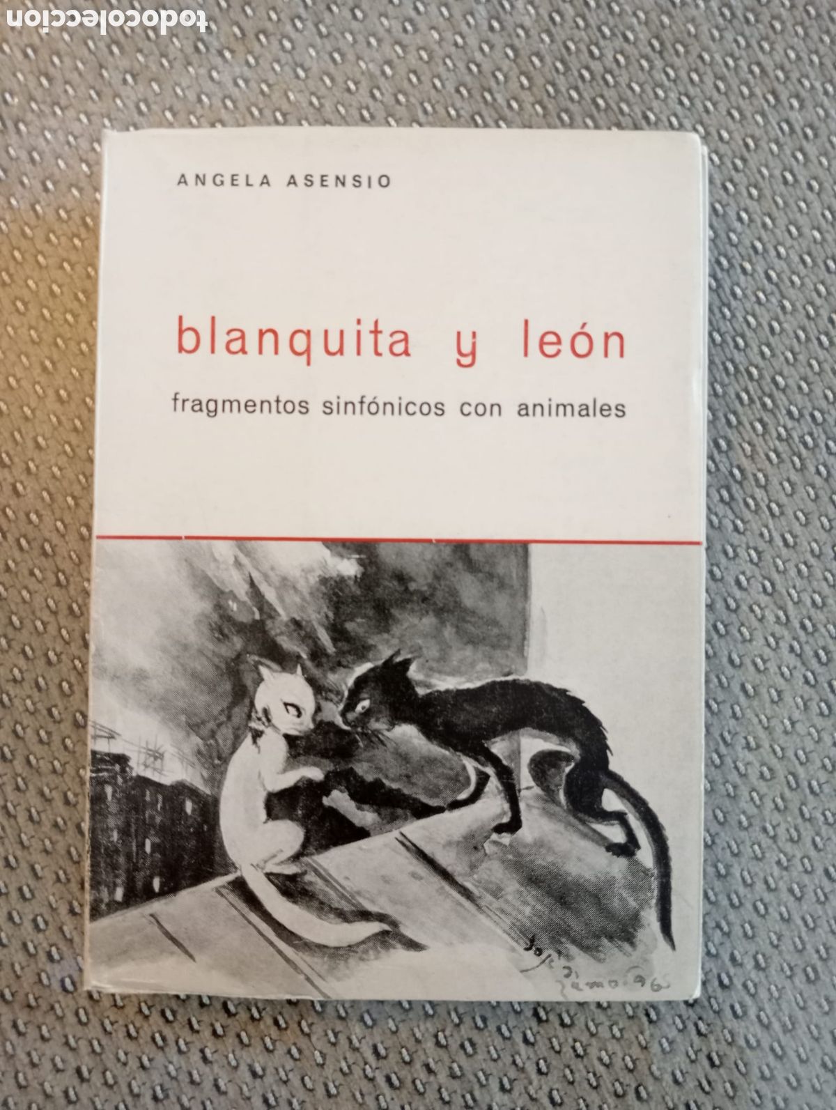 Libros de segunda mano: Blanquita y Le&oacute;n. Fragmentos sinf&oacute;nicos con animales / &Aacute;ngela Asensio.