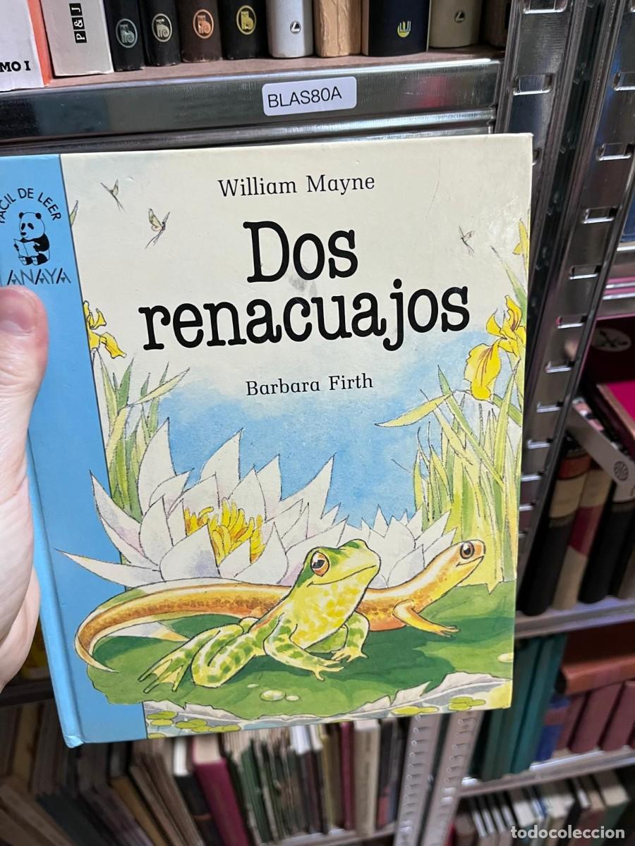 Libros de segunda mano: BLAS80A &mdash; Dos renacuajos &mdash; William Mayne / Barbara Firth