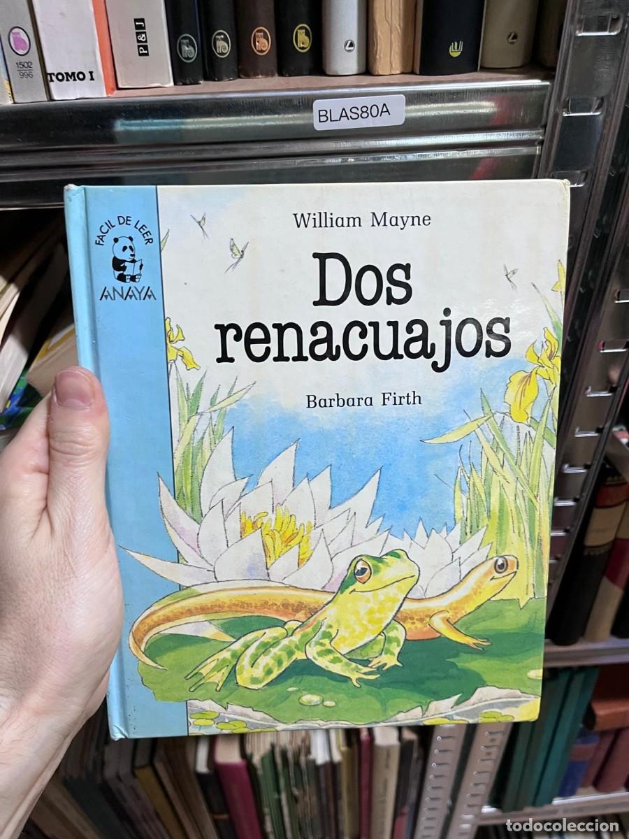 Libros de segunda mano: BLAS80A &mdash; William Mayne / Barbara Firth, Dos renacuajos &mdash;
