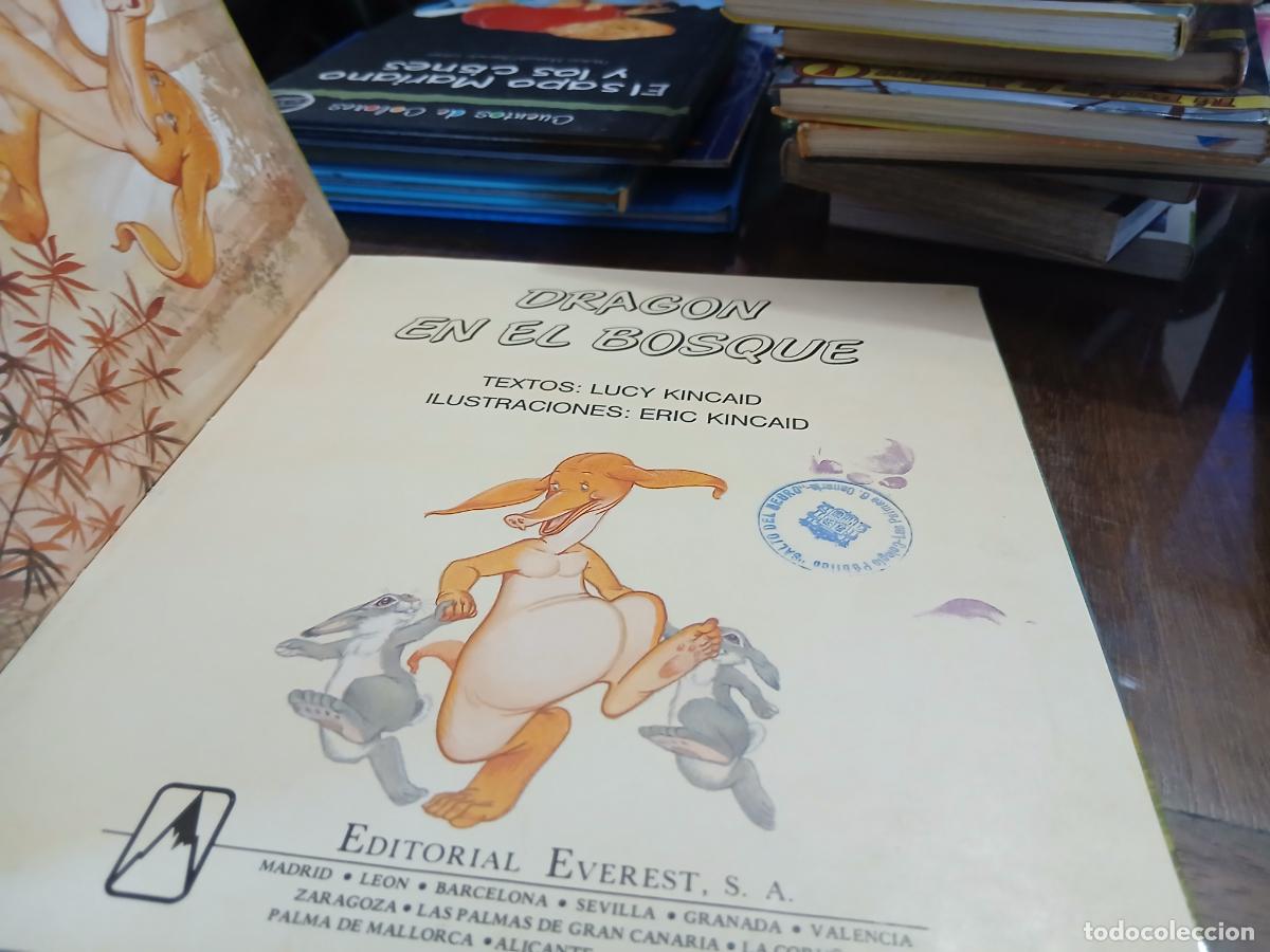Libros de segunda mano: MIS PRIMEROS CUENTOS. DRAGON EN EL BOSQUE. Everest. - Foto 3