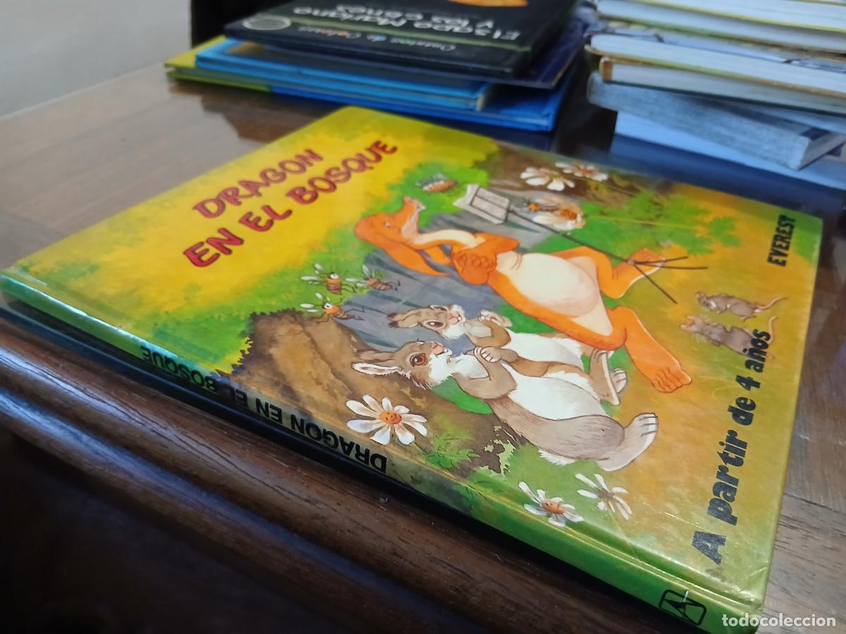 Libros de segunda mano: MIS PRIMEROS CUENTOS. DRAGON EN EL BOSQUE. Everest.