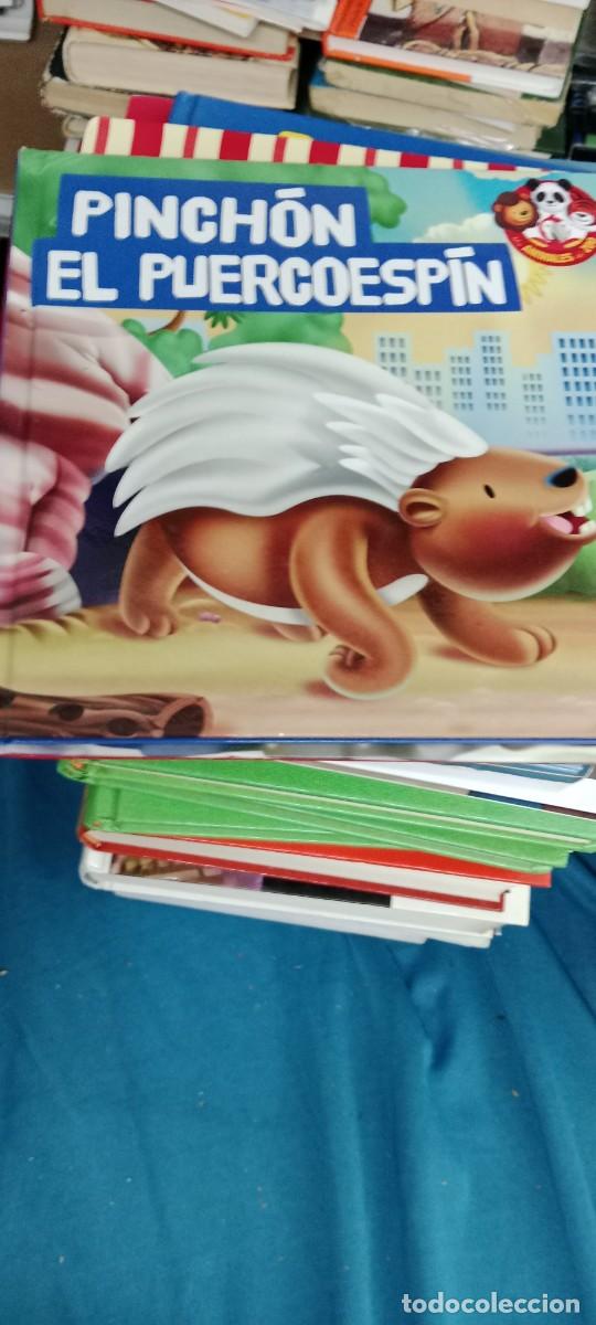Libros de segunda mano: PINCHON EL PUERCOESPIN CUENTO LIBRO G-40
