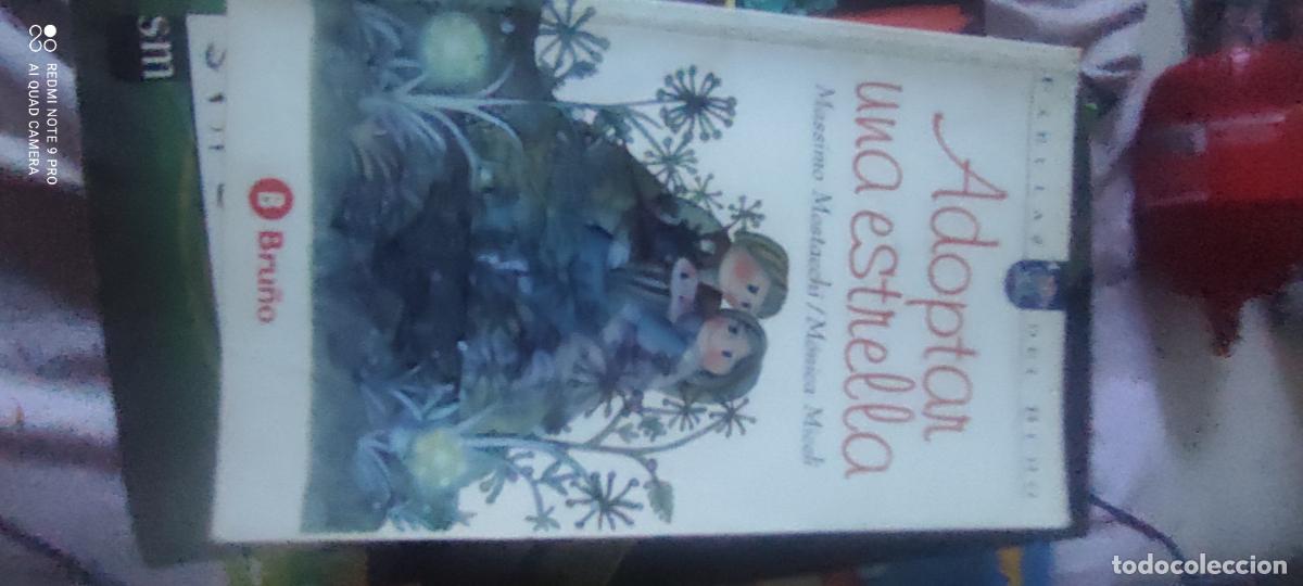 Libros de segunda mano: Adoptar una estrella (Coleccion fabulas del buho 6) - Mostacchi, Massimo