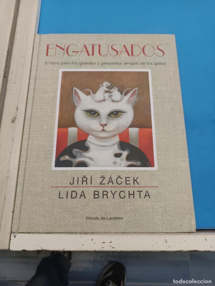 Libros de segunda mano: ENGATUSADOS EL LIBRO PARA LOS GRANDES Y PEQUE&Ntilde;OS AMANTES DE LOS GATOS JIRI ZACEK Y LIDA BRYCHTA