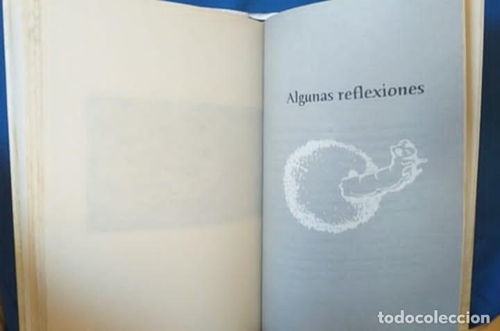 Libros de segunda mano: Libro Pap&aacute;, Expl&iacute;came el cuento de la vida. Ant&oacute;n Layunta . RBA Integral/Ilustrada - Foto 9
