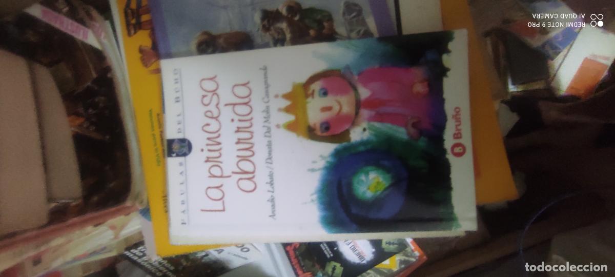 Libros de segunda mano: La princesa aburrida (Coleccion fabulas del buho 4) - Lobato, Arcadio