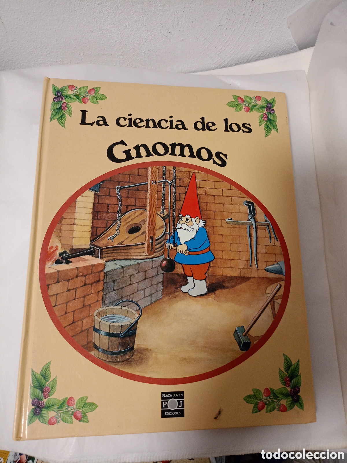 Libros de segunda mano: LA CIENCIA DE LOS GNOMOS