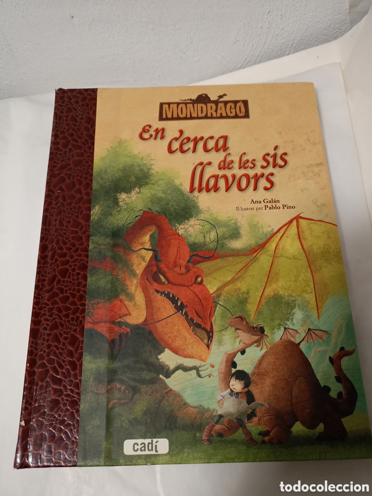 Libros de segunda mano: MONDRAG&Oacute; EN CERCA DE LES SIS LLAVORS - ANA GALAN I PABLO PINO - ED. CADI