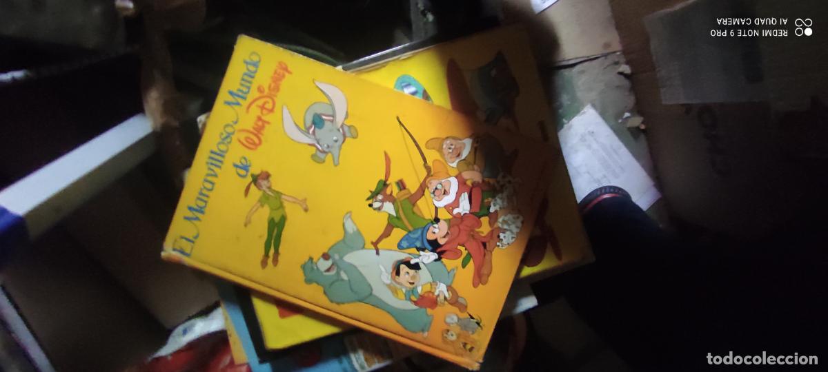 Libros de segunda mano: El maravilloso mundo de Walt Disney