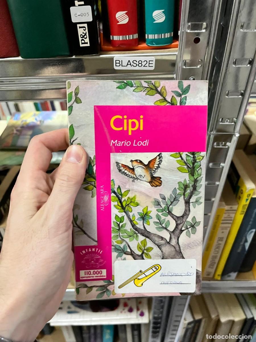 Libros de segunda mano: BLAS82E &ndash; Cipi &ndash; Mario Lodi. Literatura infantil.