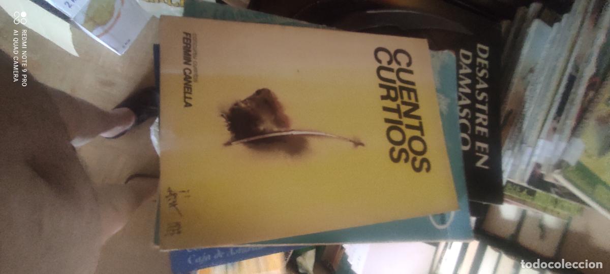 Libros de segunda mano: CUENTOS CURTIOS. / FERMIN CANELLA. En gallego