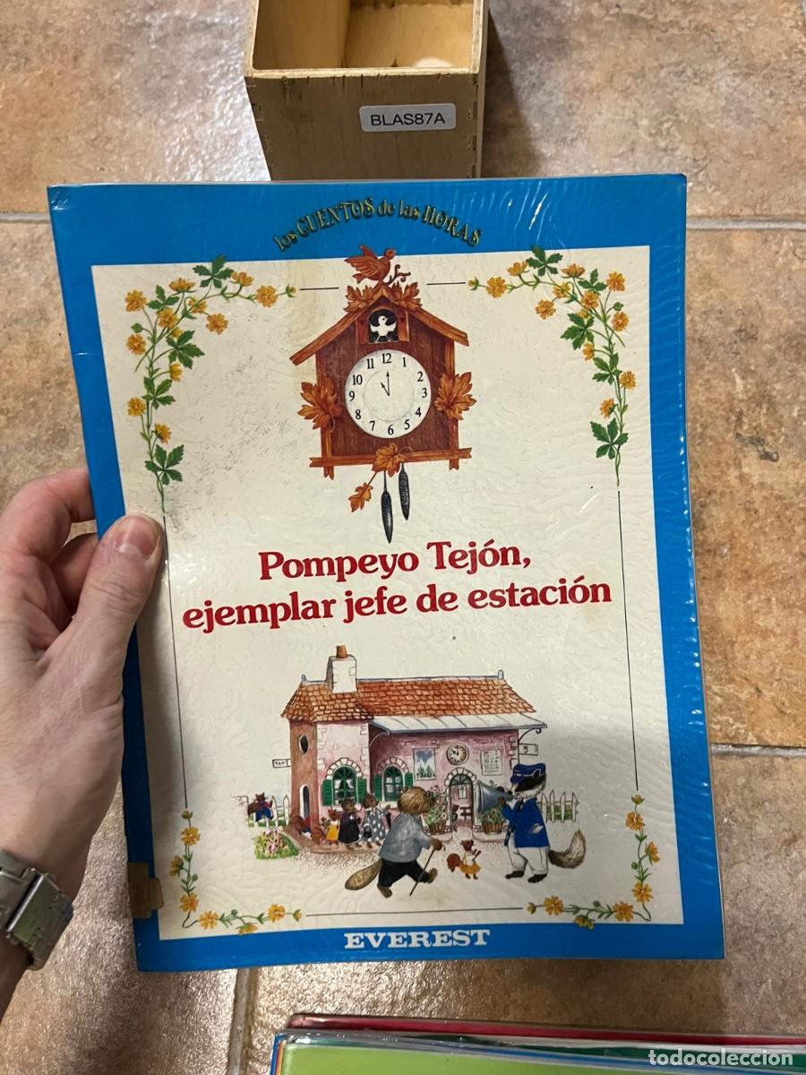 Libros de segunda mano: BLAS87A - Los Cuentos de las Horas: Pompeyo Tej&oacute;n, ejemplar jefe de estaci&oacute;n - Anne-Marie Dalmais -