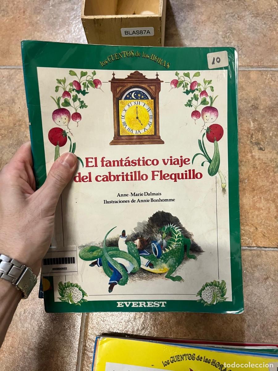 Libros de segunda mano: BLAS87A - Los Cuentos de las Horas n&ordm; 10: El fant&aacute;stico viaje del cabritillo Flequillo - Anne-Marie