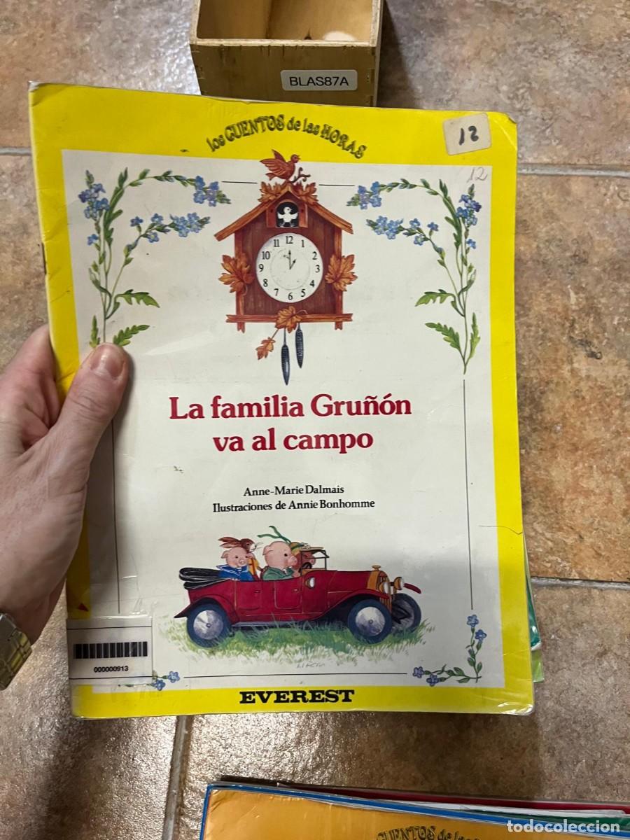 Libros de segunda mano: BLAS87A - Los Cuentos de las Horas n&ordm; 12: La familia Gru&ntilde;&oacute;n va al campo - Anne-Marie Dalmais - Evere
