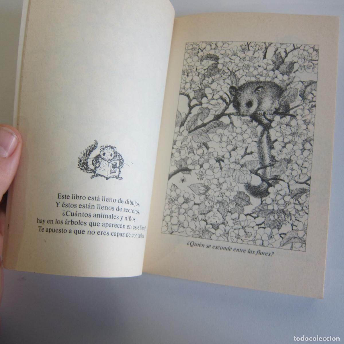 Libros de segunda mano: CUENTOS DE LIRONES - HANNA MUSCHG (AUSTRAL) INFANTIL - Foto 8