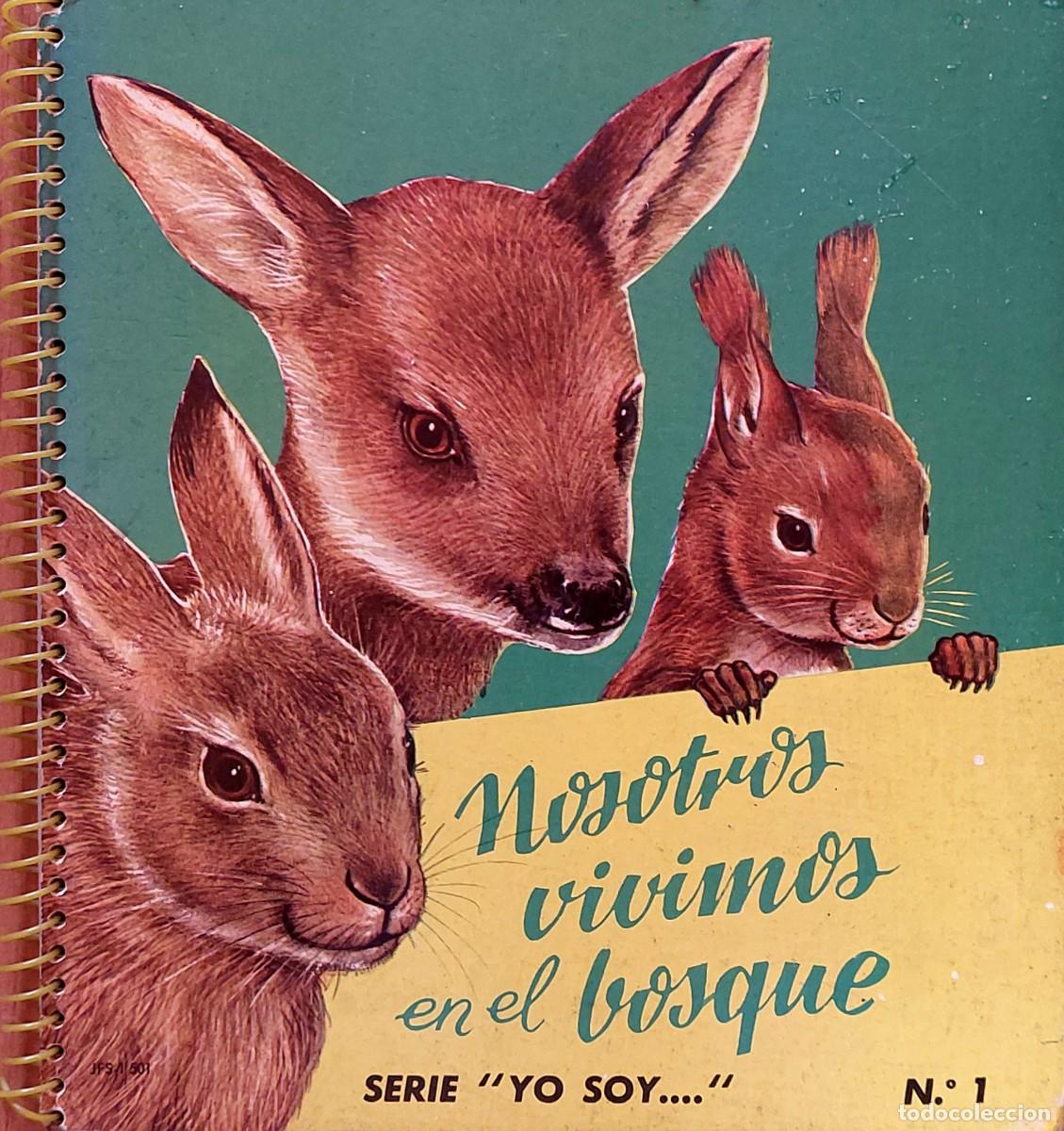 Libros de segunda mano: ANTIGUO CUENTO INFANTIL ( NOSOTROS VIVIMOS EN EL BOSQUE ) de EDITORIAL ROMA