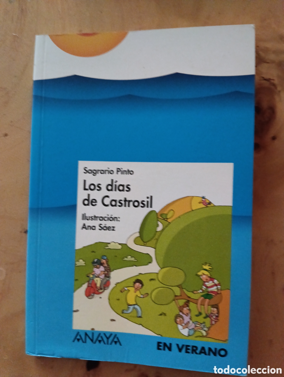 Libros de segunda mano: los d&iacute;as de Castro Sil, Sagrario Pinto