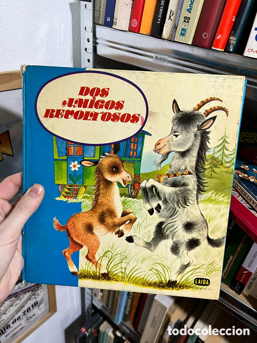 Libros de segunda mano: Blas50 dos amigos revoltosos - laida - fher