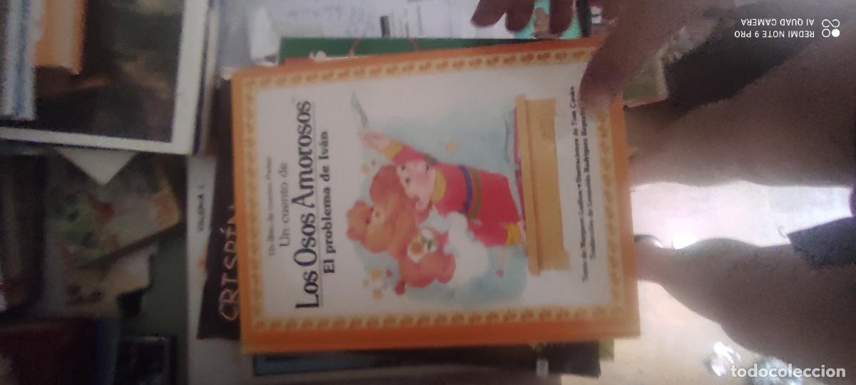 Libros de segunda mano: El problema de Iv&aacute;n - Un cuento de Los Osos Amorosos - &rdquo;Ludlow, Margaret; ilustraciones de Tom Cook