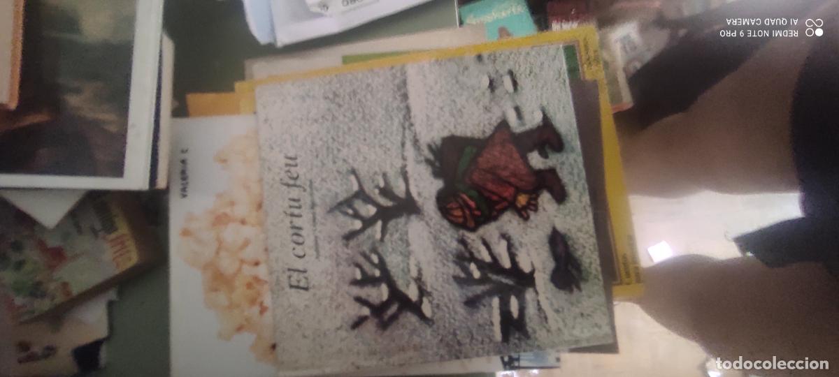 Libros de segunda mano: El cor&iacute;u feu (El patito feo en bable) por Andersen y Jes&uacute;s Zat&oacute;n de Ed. J&uacute;car en Bilbao 1988