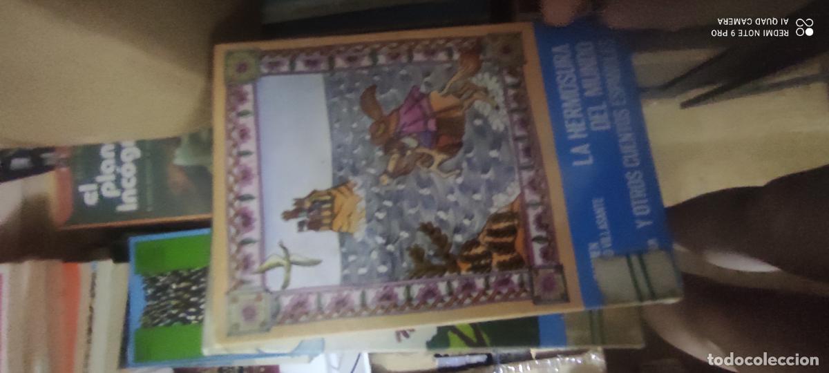 Libros de segunda mano: LA HERMOSURA DEL MUNDO Y OTROS CUENTOS ESPA&Ntilde;OLES COLECCION MUNDO MAGICO N&ordm;29 NOGUER 1984