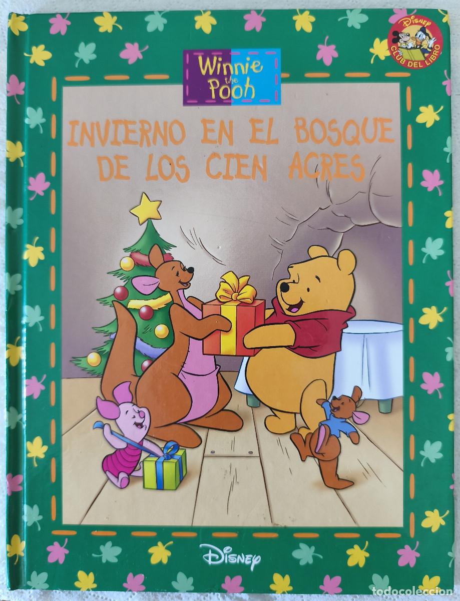 Libros de segunda mano: WINNIE THE POOH - INVIERNO EN EL BOSQUE DE LOS CIEN ACRES - DISNEY Club del Libro