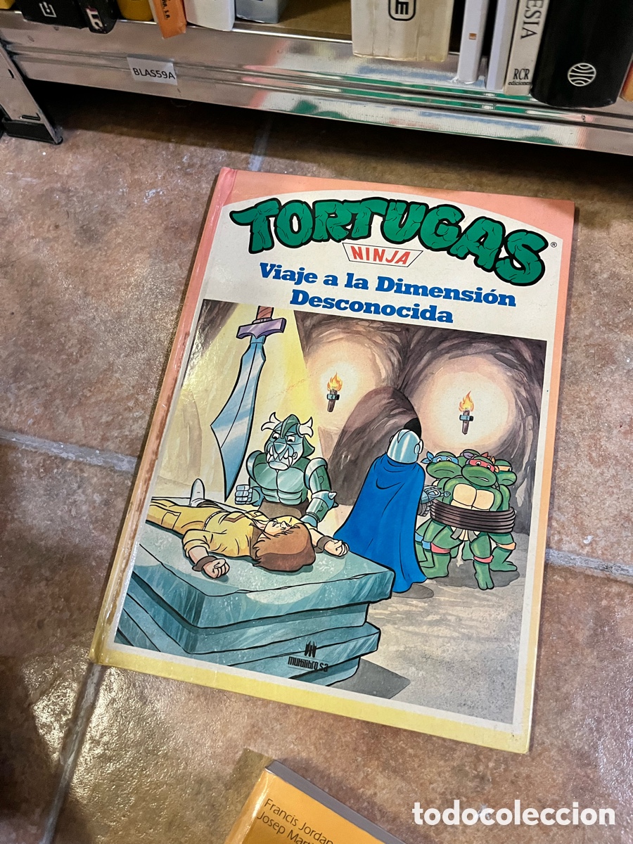 Libros de segunda mano: Blas59A TORTUGAS NINJA: VIAJE A LA DIMENSI&Oacute;N DESCONOCIDA - Isidro S&aacute;nchez