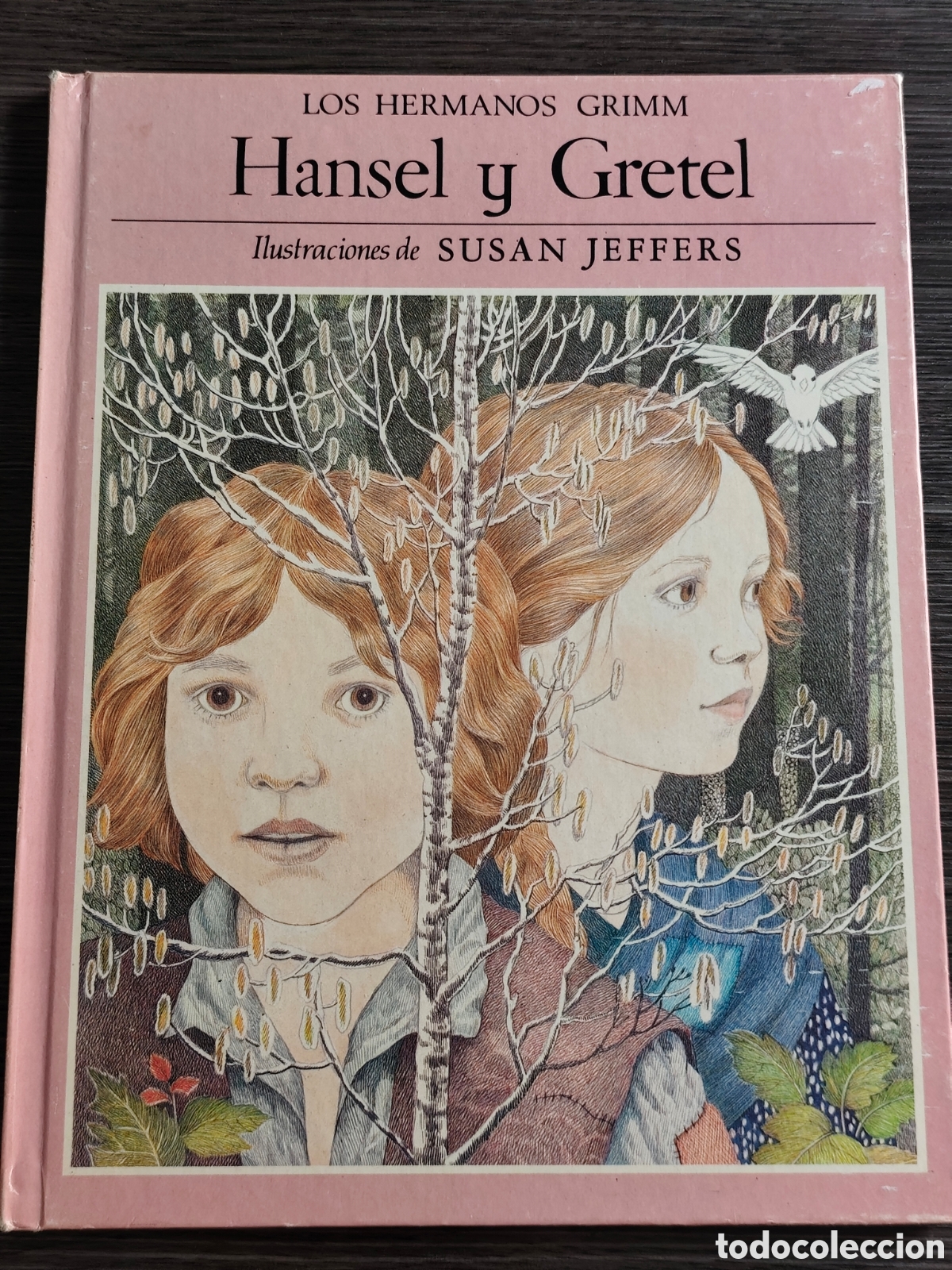 Libros de segunda mano: Hansel y Grettel ilustraciones de Susana Jeffers Asuri