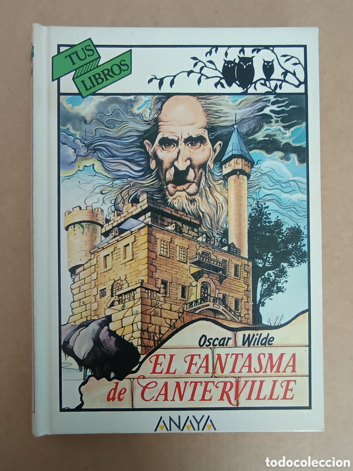 Libros de segunda mano: {&deg;_&deg;} El Fantasma de Canterville, por Oscar Wilde (Anaya Tus Libros, 1987). Ver contenidos.