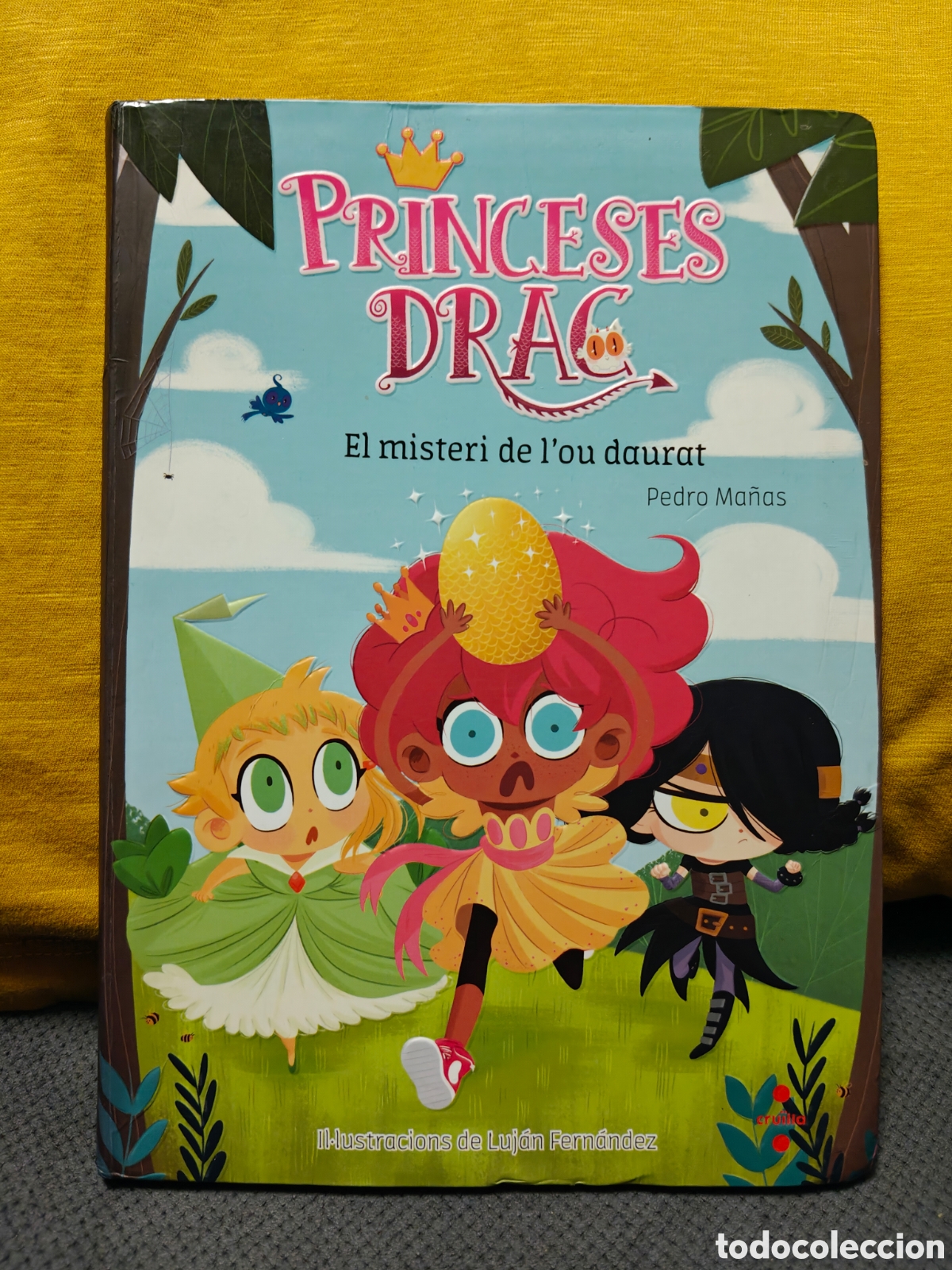 Libros de segunda mano: Princeses Drac, Pedro Ma&ntilde;as